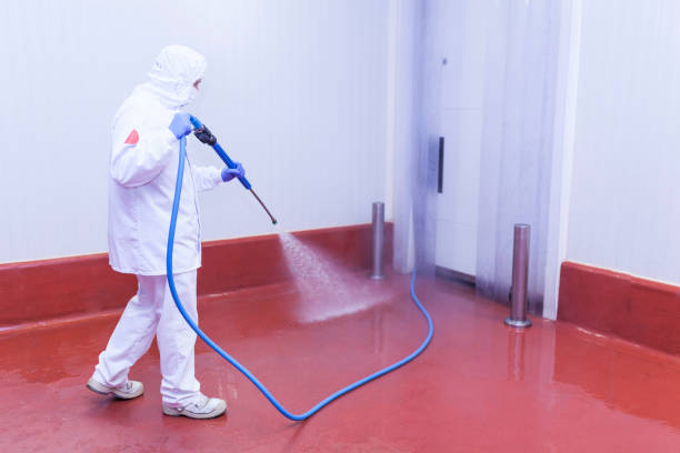 Best Post-Construction Pressure Washing  in Wallington, NJ