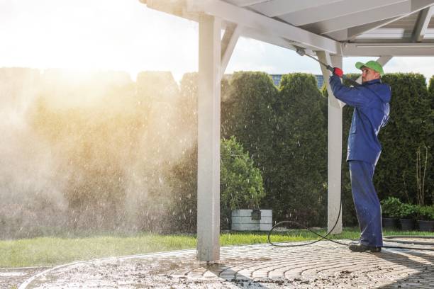 Animal Enclosure Cleaning in Wallington, NJ