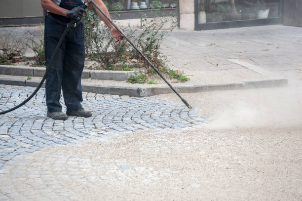 Best Building Exterior Washing  in Wallington, NJ