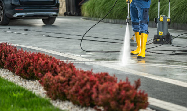 Best Solar Panel Cleaning  in Wallington, NJ